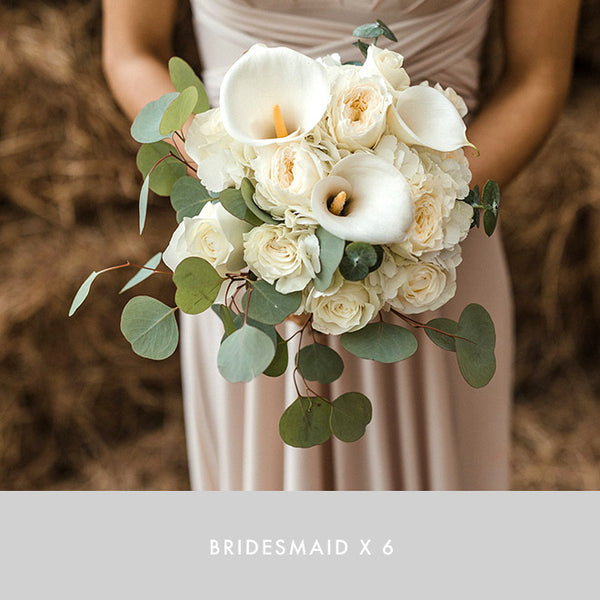 Bridesmaid x6 | Purity